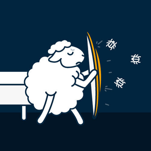 Protéger son matelas des acariens avec wopilo