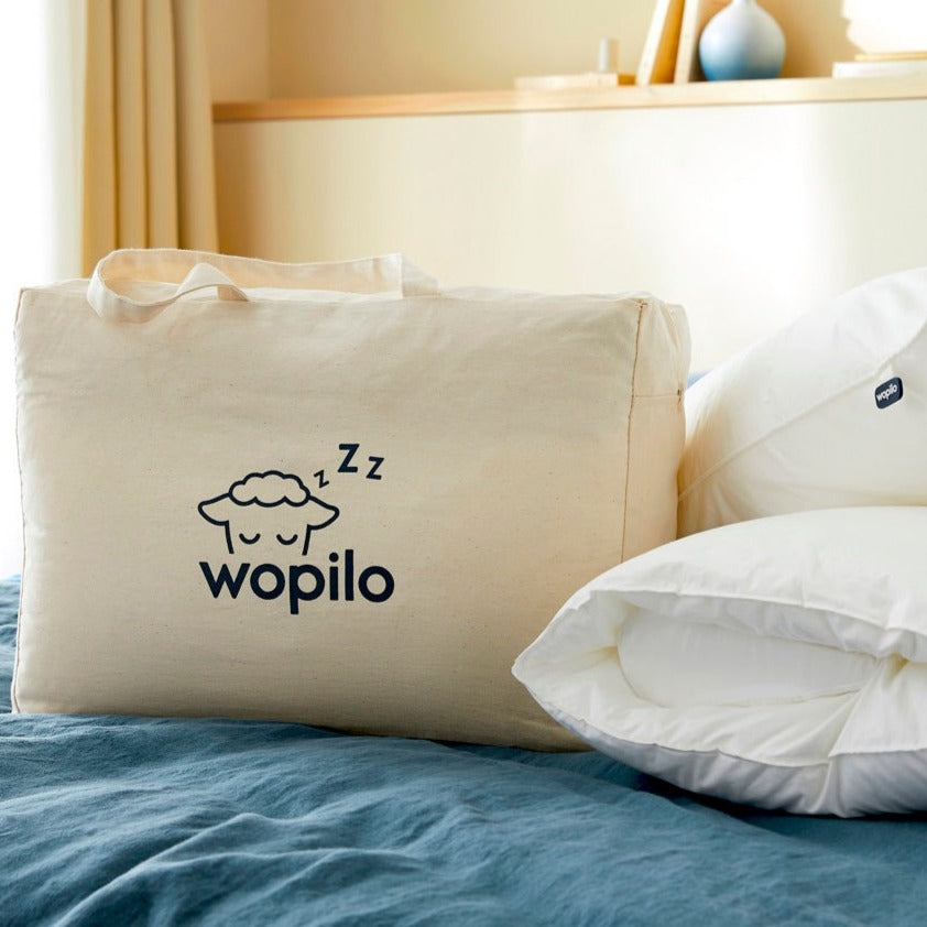 Trouver un oreiller de 50 x 70 – Wopilo